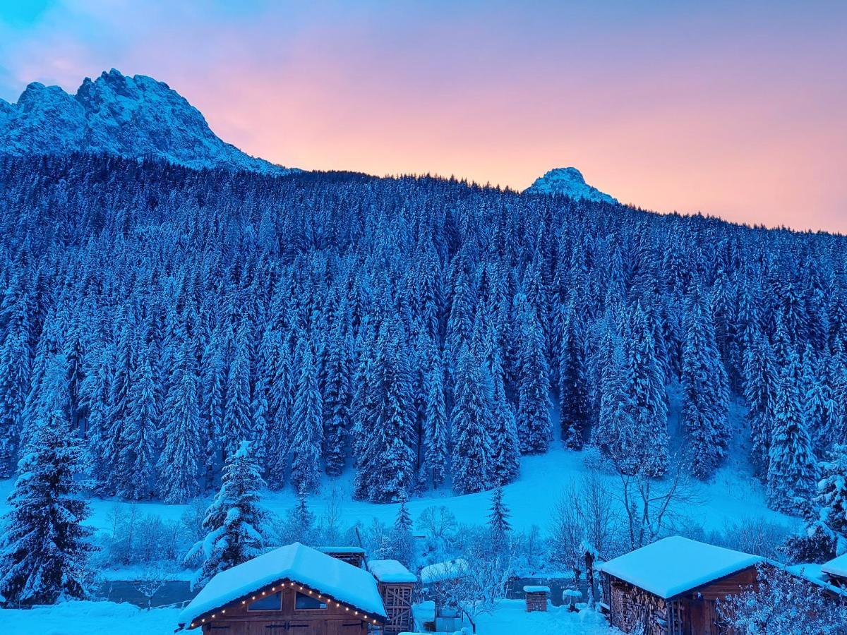 B&B A Ceda Toa San Pietro di Cadore Exterior foto