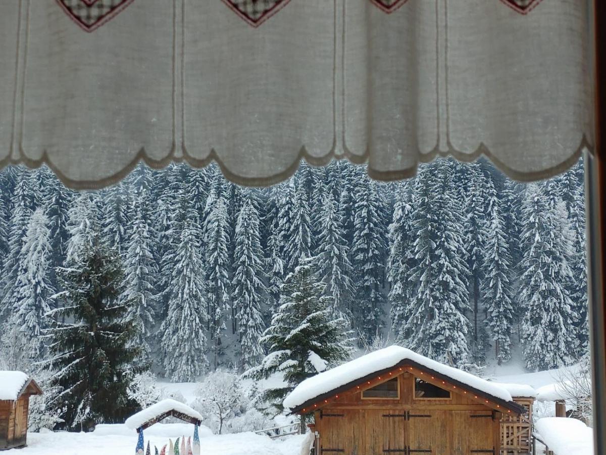 B&B A Ceda Toa San Pietro di Cadore Exterior foto